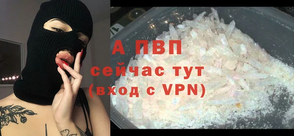 индика Алексин
