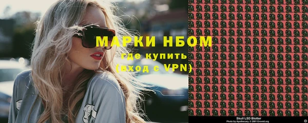 индика Алексин
