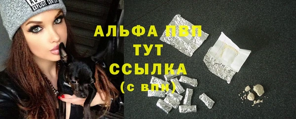 индика Алексин